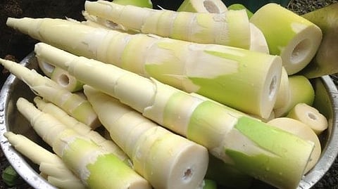 bamboo shoots