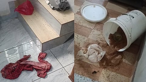 Monkeys destroy household goods in Kannur