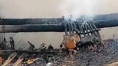 blast at illegal coal mine in Meghalaya 18 killed