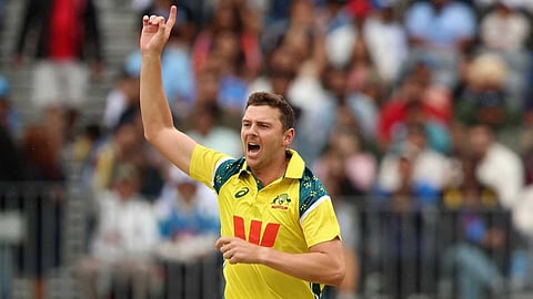 josh hazlewood wicket appeal
