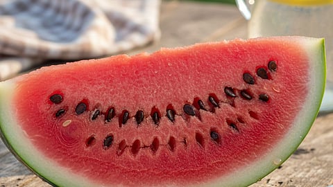 Watermelon Seeds