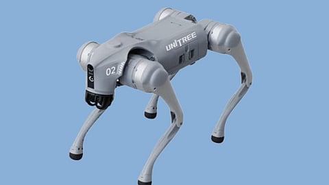 Chinese-made robotic dog