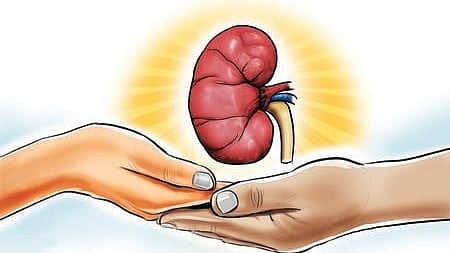 Kidney Transplantation