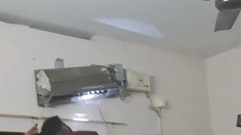 Five snakes caught in bedroom AC