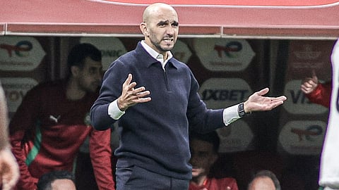 Walid Regragui in match