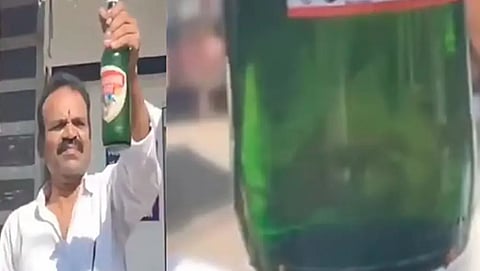 Fish jumps into unsealed beer; Employees raise their hands, video