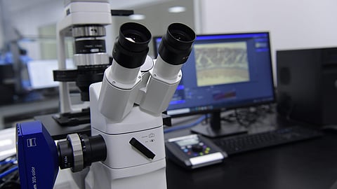 Institute of Virology scientist recruitment 2026 notification for six departments