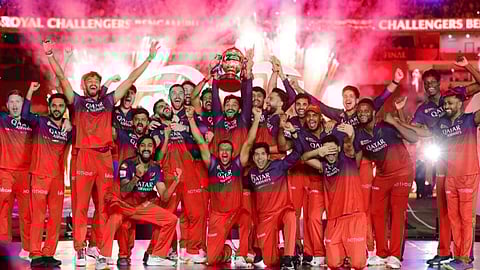 RCB leads IPL brand value at ₹2486 crore, Brand Finance report