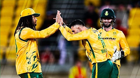 south africa vs new zealand