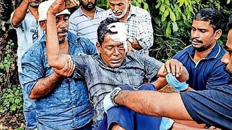 kalamassery medical college