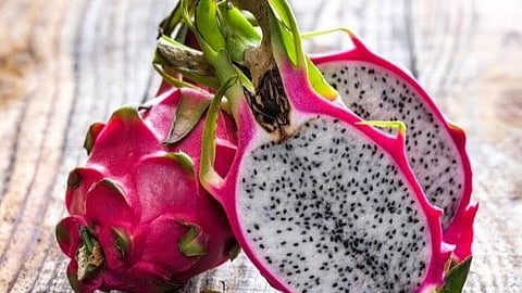 Dragon Fruit