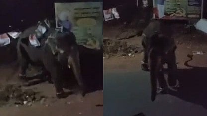 elephant runs away during Kannadiparambu festival