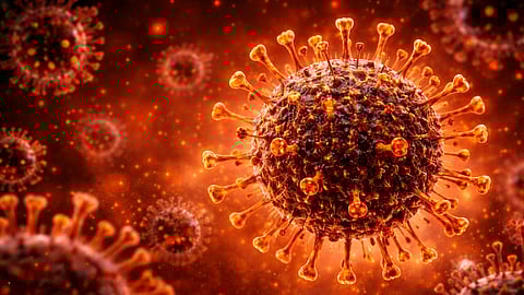 Representative Image of Cicada Variant