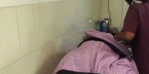 Farmer dies after being stung by wasps in Idukki