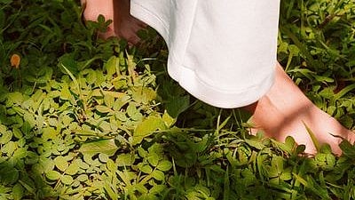 Forest Bathing Therapy