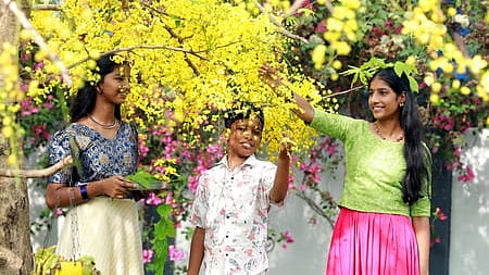 vishu celebration