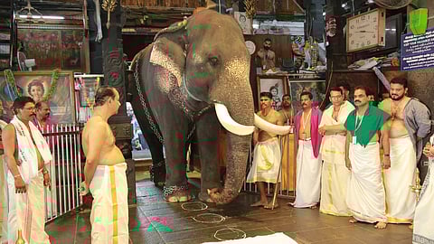 elephant offering at the Guruvayur temple