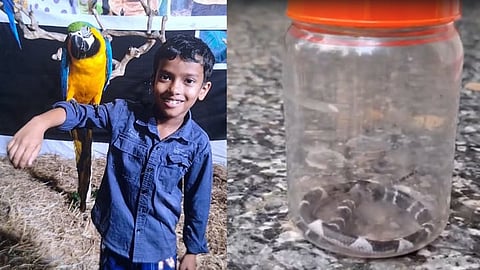 Snake that bit children