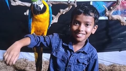 Eight-year-old boy dies after snake bite