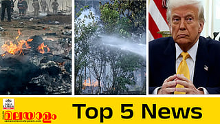 Explosion at fireworks factory, donald trump