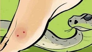 പ്രതീകാത്മകചിത്രം
