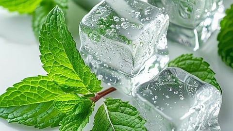 Puthina leaves, Summer diet