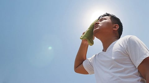 Summer diseases