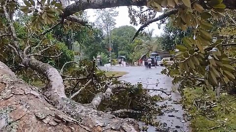 Heavy Rain In Idukki