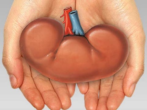 കാമുകനെ വിവാഹം കഴിക്കാനായി യുവതി വൃക്ക വില്‍ക്കാന്‍ ആശുപത്രിയില്‍: ഡോക്ടര്‍ ഇടപെട്ട് രക്ഷപ്പെടുത്തി