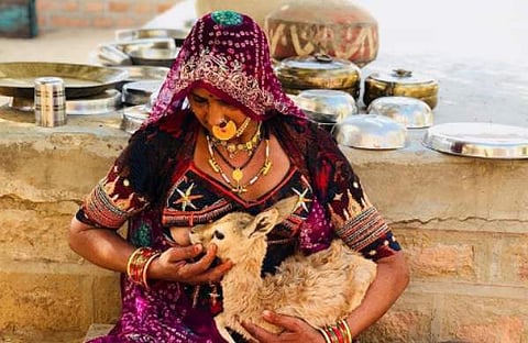 മാനിനെ മുലയൂട്ടുന്ന ഈ രാജസ്ഥാനി യുവതിയോട് ബഹുമാനമല്ലാതെ പിന്നെന്താണ്..! വികാസ് ഖന്നയുടെ ട്വീറ്റ്