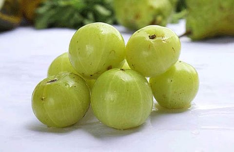 കാണുന്നത്ര കുഞ്ഞനല്ല; നെല്ലിക്ക ആവിയിൽ വേവിച്ച് കഴിക്കാം, ​ഇരട്ടി​ഗുണം