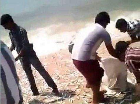 കാപ്പാട് കടല്‍ ഉള്‍വലിഞ്ഞപ്പോള്‍ മത്സ്യക്കൊയ്ത്ത്; ആശങ്കകള്‍ക്കിടയിലും മീന്‍പെറുക്കാന്‍ നാട്ടുകാര്‍