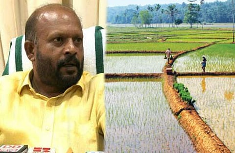 നെല്‍വയല്‍ നികത്തല്‍ ഭേദഗതി ബില്ലിനെതിരെ കൃഷിവകുപ്പ് ; രാഷ്ട്രീയ തീരുമാനത്തിന് വിട്ടു