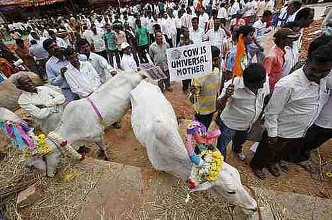 ബിജെപി ഭരിക്കുന്ന അഞ്ച് സംസ്ഥാനങ്ങളില്‍ കൂടി അറവുശാലകള്‍ പൂട്ടും