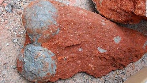 70 ദശലക്ഷം വര്‍ഷം പഴക്കമുള്ള ദിനോസര്‍ എഗ് ഫോസിലുകള്‍ ചൈനയില്‍ കണ്ടെത്തി