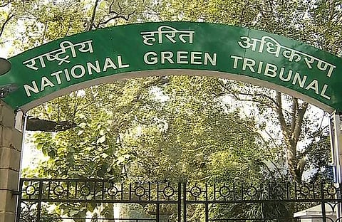 മൂന്നാറില്‍ ഹരിത ട്രൈബ്യൂണല്‍ ഇടപെടല്‍, വനം വകുപ്പിനും ഇടുക്കി കലക്ടര്‍ക്കും നോട്ടീസ്