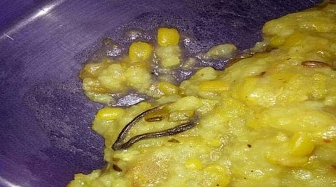 സ്‌കൂളിലെ ഉച്ചഭക്ഷണത്തില്‍ പാമ്പിന്‍ കുഞ്ഞ്