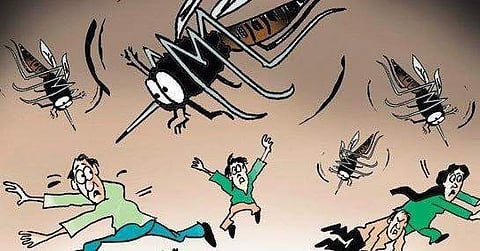 സംസ്ഥാനത്ത് ഡെങ്കിപ്പനി പടര്‍ന്നുപിടിക്കുന്നു; ജാഗ്രതാ നിര്‍ദ്ദേശവുമായി ആരോഗ്യവകുപ്പ്