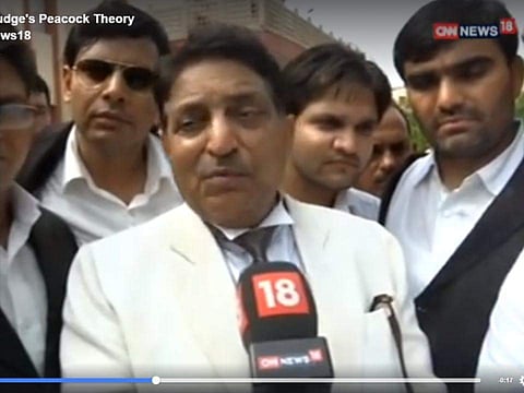 മയില്‍ നിത്യബ്രഹ്മചാരി; പശുവിന് വ്യക്തിപദവി നല്‍കണം; പശുവിനെ ദേശീയമൃഗമാക്കണമെന്ന് വിധിച്ച രാജസ്ഥാന്‍ ജഡ്ജി വീണ്ടും