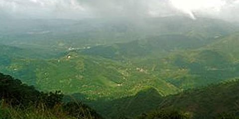 ഇടുക്കിയില്‍ വനഭൂമി റവന്യൂഭൂമിയാക്കി മാറ്റി പട്ടയം നല്‍കാന്‍ നീക്കം