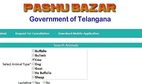 പശുക്കളെ ഇനി ഓണ്‍ലൈന്‍ വഴി വാങ്ങാം; പശു ബസാറുമായി തെലങ്കാന സര്‍ക്കാര്‍