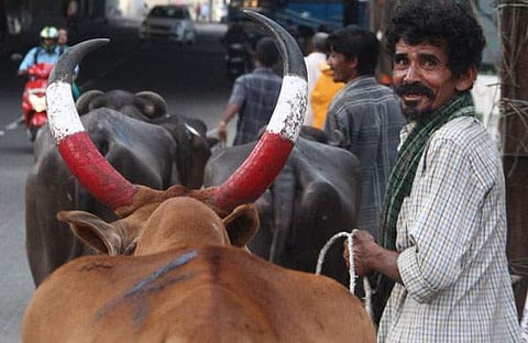 യുപിയില്‍ കാലികളെ കടത്തുന്നവര്‍ക്കെതിരെ ദേശീയ സുരക്ഷാ നിയമപ്രകാരം കേസെടുക്കും