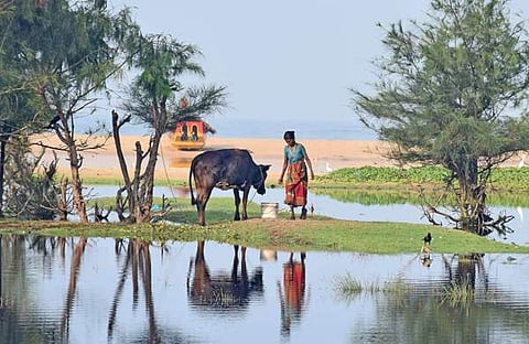 ഫോട്ടോ: ജെ.എസ്. അരവിന്ദ്/ എക്‌സ്പ്രസ്