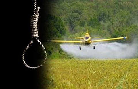 എന്‍ഡോസള്‍ഫാന്‍ ദുരിത ബാധിതരുടെ ലിസ്റ്റില്‍ പേരില്ലെന്നറിഞ്ഞതിന്റെ പിറ്റേ ദിവസം കുഞ്ഞപ്പനായ്ക്ക് ആത്മഹത്യ ചെയ്തു