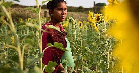 കര്‍ഷകരായ യുവാക്കളെ വിവാഹം കഴിക്കാന്‍ തയ്യാറാകാതെ പെണ്‍കുട്ടികള്‍; അവിവാഹിതരായ കര്‍ഷകരുടെ എണ്ണം കൂടുന്നു