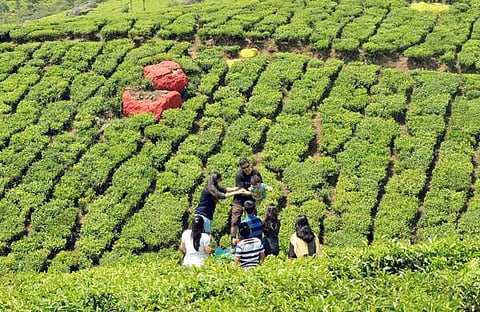 രാജമാണിക്യം റിപ്പോര്‍ട്ട് അട്ടിമറിക്കുന്നത് ആര്‍ക്കുവേണ്ടി?