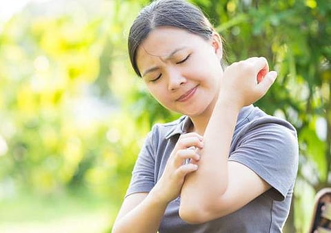 ഇതെന്താ എന്നെ മാത്രം കൊതുകു കുത്തുന്നേ! കാരണമറിയണോ? 