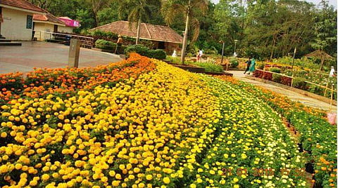 പൂ പറിച്ചാല്‍ പിഴ നൂറ്; പ്ലാസ്റ്റിക്ക് വലിച്ചെറിഞ്ഞാല്‍ പിഴ അഞ്ഞൂറ്‌ 