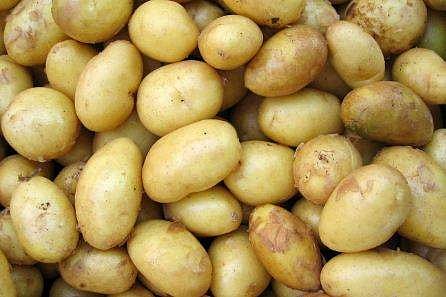 ഉരുളക്കിഴങ്ങ് ഫ്രിഡ്ജില്‍ സൂക്ഷിക്കാറുണ്ടോ? ആ ശീലം ക്യാന്‍സര്‍ വരുത്തിയേക്കും !