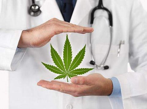 ക്യാന്‍സറിന്റെ വേദനയെ ചെറുക്കാന്‍ കഞ്ചാവില്‍ നിന്നും മരുന്ന്; കണ്ടെത്തലുമായി ഇന്ത്യന്‍ ഗവേഷകര്‍